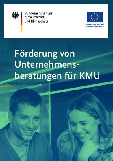 BAFA Förderung